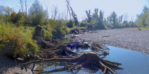 Consultations, études et concepts