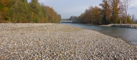 Aare, Rubigen