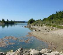 Hagneckkanal mit unbefestigten Uferbereichen zwischen einzelnen Blockbuhnen.