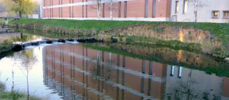 Ufererosion an der Allaine in Boncourt (Aufnahme 2015).