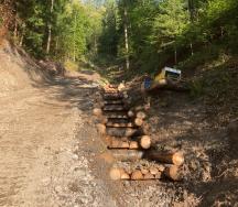 Holzverbau mit Fallboden in steilen Abschnitten (Blick flussaufwärts)
