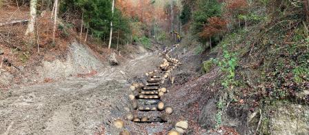 Holzverbau (Blick flussaufwärts)