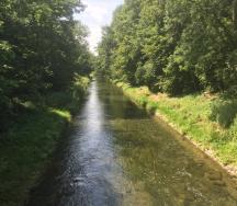 Aktuelles Erscheinungsgebiet der Glatt im Projektperimeter. Es fehlen Strömungsvielfalt, Tiefen- und Breitenvariabilität, Deckungsstrukturen, ausgeprägte Steil- und Flachufer sowie eine gewässertypische Ufervegetation.