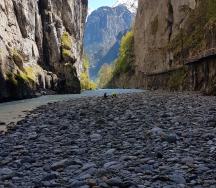 Aar dans les gorges de l'Aar: On estime la répartition granulométrique du fond du lit et des sédiments charriés grâce au comptage de surface par transect.