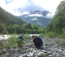 Mit Hilfe von Linienproben wird die Kornverteilung von Sohlenmaterial und Geschiebe bestimmt.