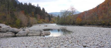 Buhne mit Buhnenkolk am linken Ufer im aufgeweiteten Abschnitt der Vereinigten Lütschine oberhalb des Dangelstutz. 