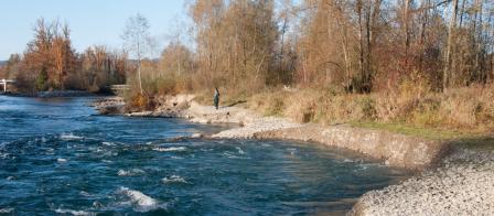 Ein Jahr nach Abschluss der Bauarbeiten haben sich zwischen den Buhnen ausgeprägte Girlanden gebildet.