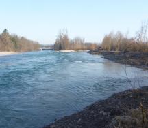 Die ablenkende Wirkung der überströmten Buhnen ist anhand der Wellenbildung über den Buhnen sowie der unruhigen Wasseroberfläche über der Hauptströmung und gut sichtbar.