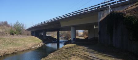 Bei der Brücke der Nationalstrasse über den Werdenberger Binnenkanal wurden neben der Überflutung auch die Prozesse Seitenerosion und Pfeilerkolk untersucht.