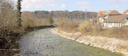 Kanalisierte Sense bei Laupen mit harter Ufersicherung.