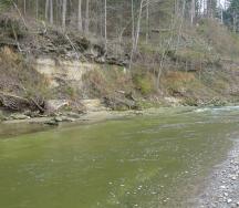 Beispiel eines Prallhangs sihlaufwärts der Projektstrecke.