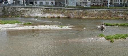 Modellierung der Sohle durch Wurzelstöcke und Sichelschwelle. Fliessrichtung von rechts nach links.