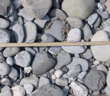 Comptage de surface par transect